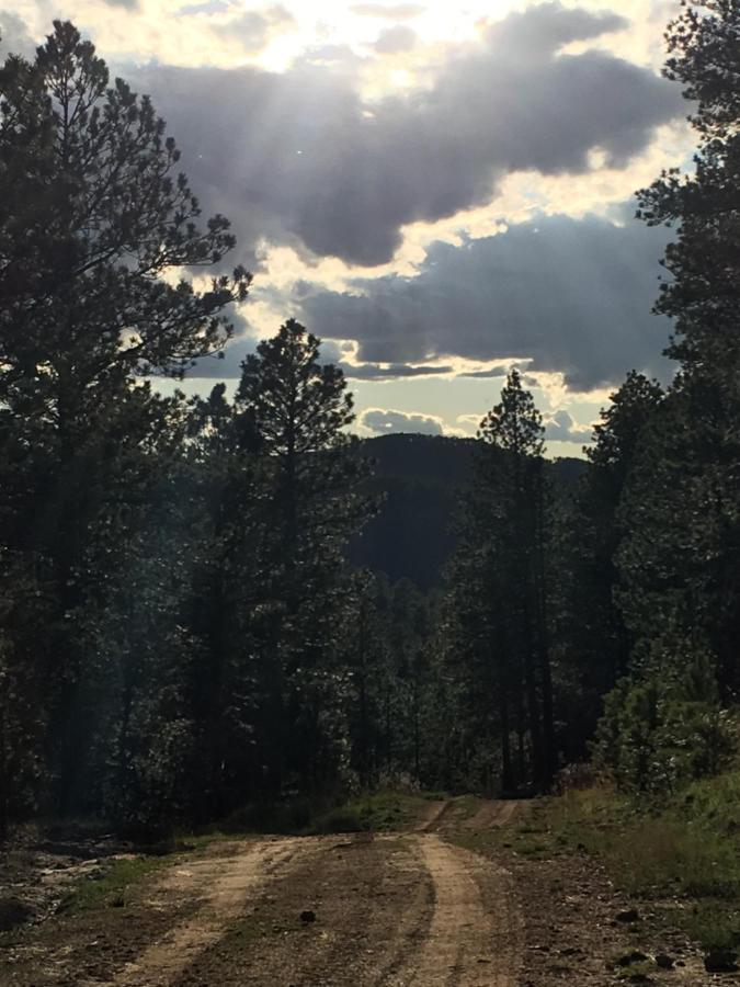Priceless Black Hills View Rapid City Exteriér fotografie