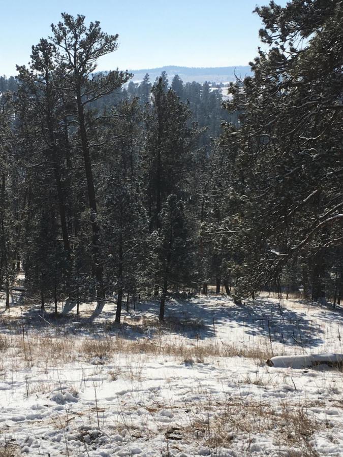 Priceless Black Hills View Rapid City Exteriér fotografie