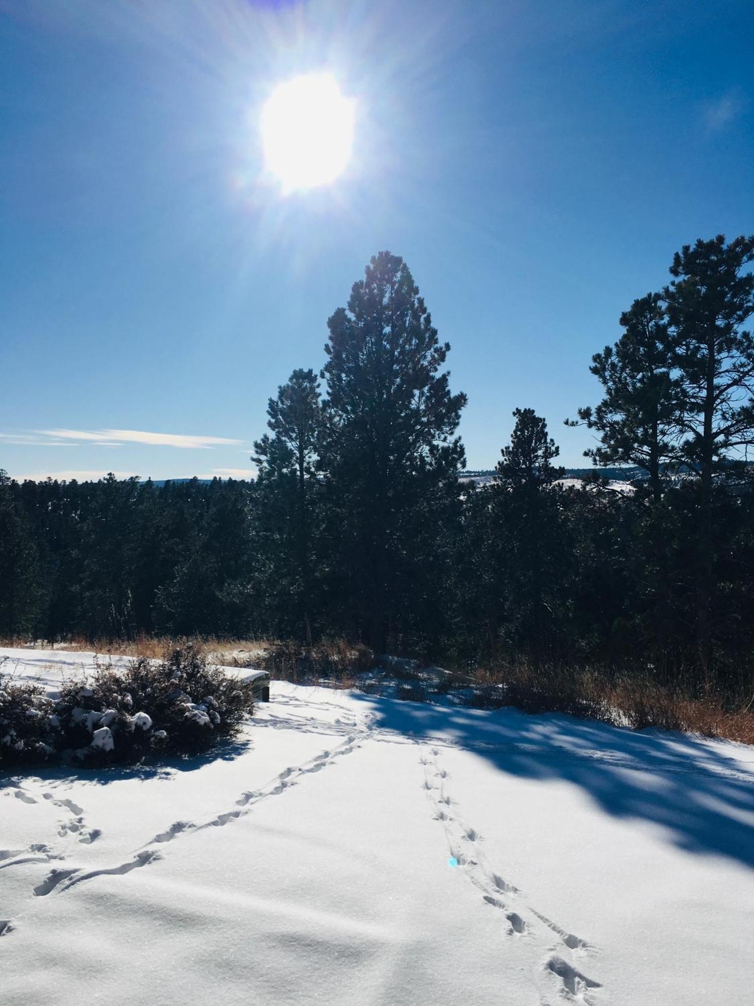 Priceless Black Hills View Rapid City Exteriér fotografie